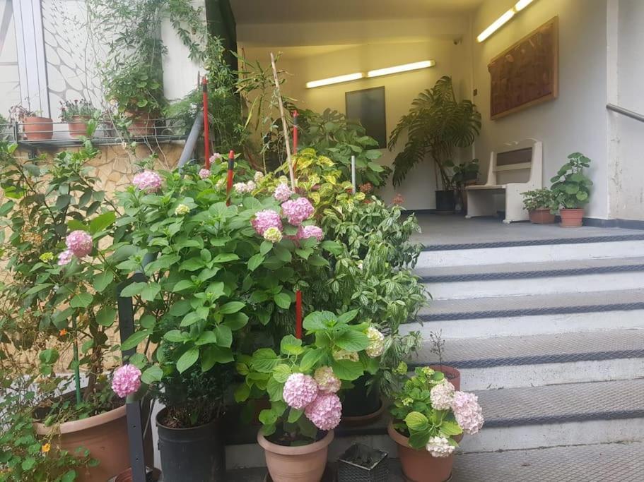 Pazari_Ri_Studio Lejlighed Tirana Eksteriør billede