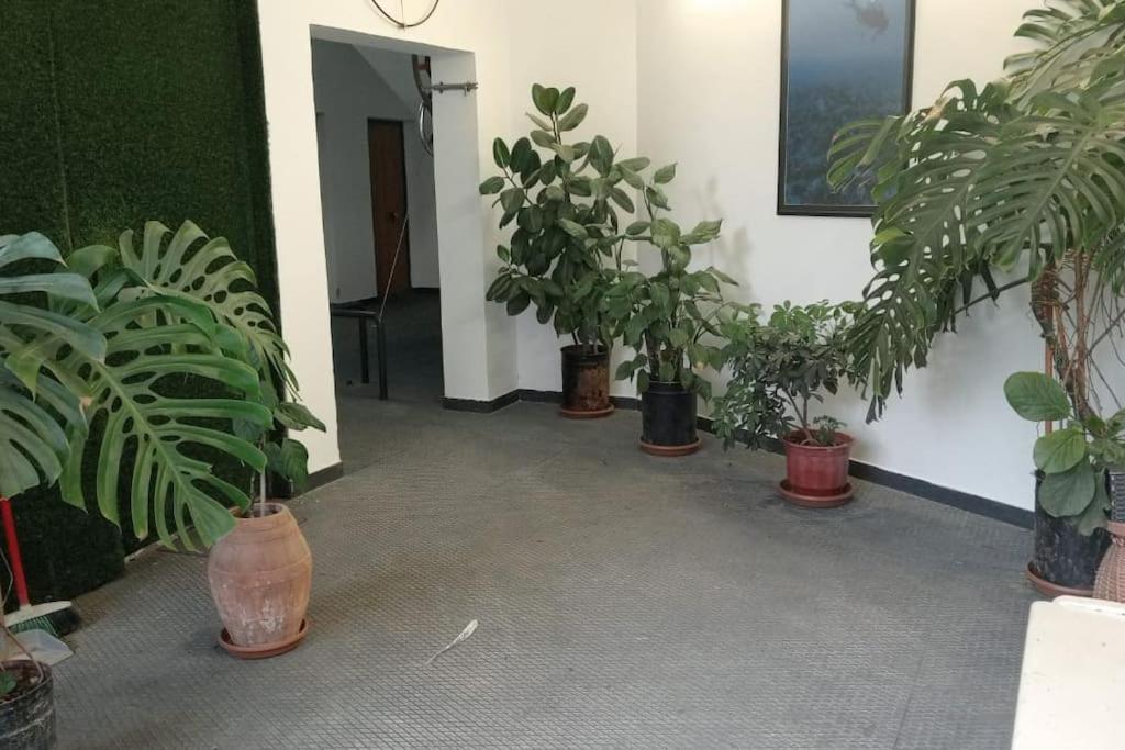 Pazari_Ri_Studio Lejlighed Tirana Eksteriør billede
